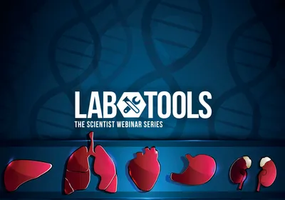 Solving Sample Preparation Challenges Across Diverse Tissue Types